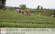 荣县茶农夜校开课：专家直播传授有机种植技艺，茶叶溢价30%助力脱贫攻坚战