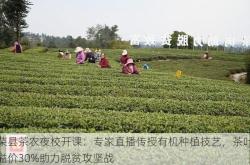 荣县茶农夜校开课：专家直播传授有机种植技艺，茶叶溢价30%助力脱贫攻坚战
