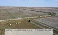 土地流转变局：企业毁约改种光伏板，农民每亩年租金缩水至200元